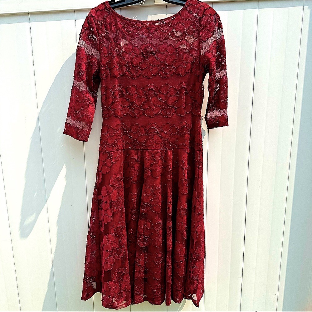 Chaya lace fit and flare dress